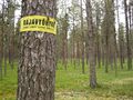 Пограничная зона, отмеченная на дереве на границе Финляндии и России: "въезд запрещен".