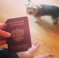 Ru-passport-01.jpg