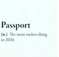 «Паспорт — наиболее бесполезная вещь в 2020 году»