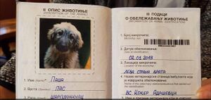 RS-Pet-passport-00.jpg